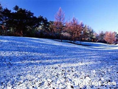 沈阳风光